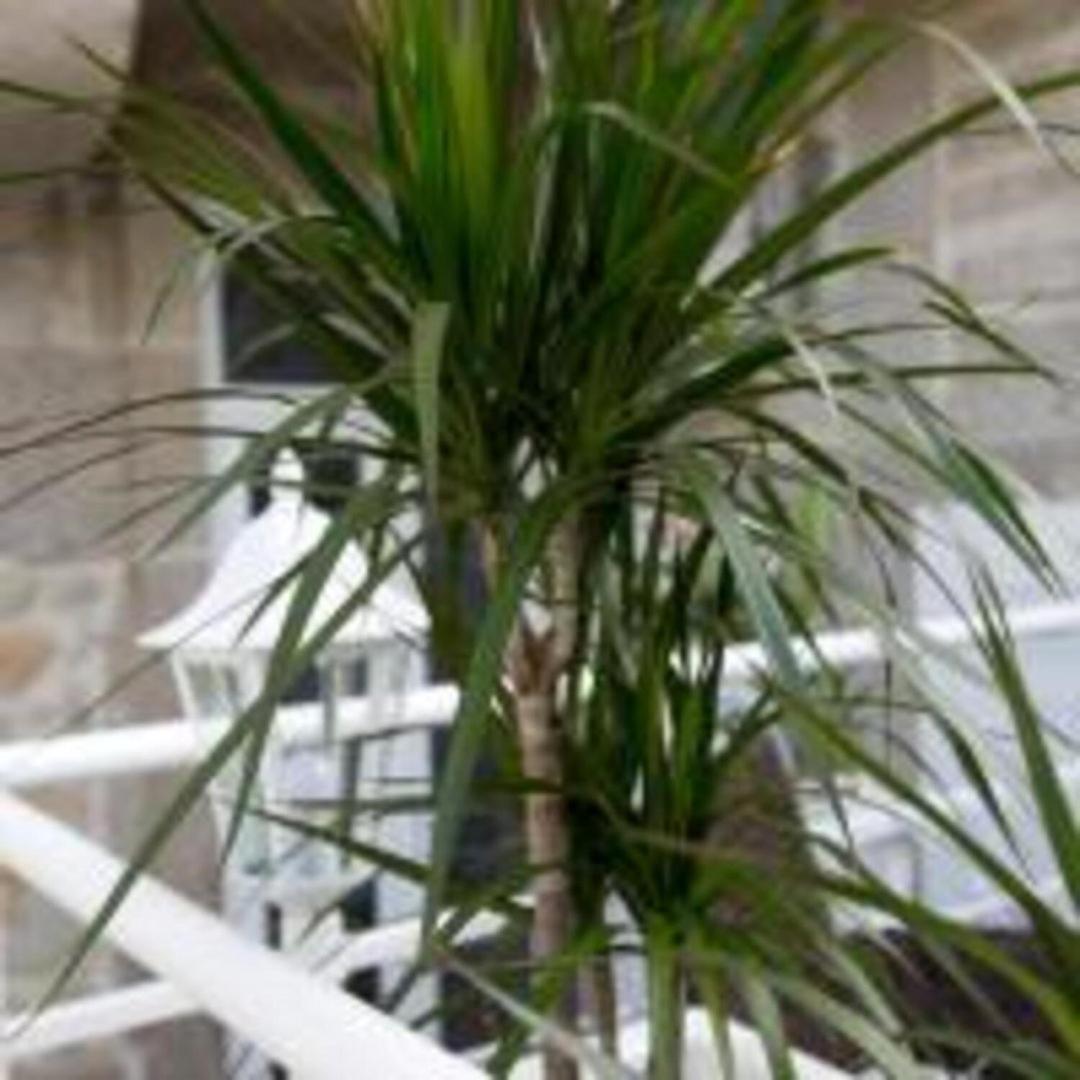Guestready - Comendador Sto Ildefonso Porto Buitenkant foto